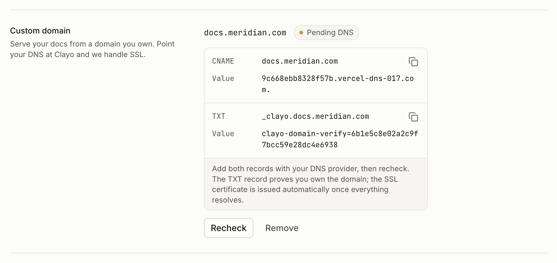 The custom domain control showing the CNAME and TXT records to add, with a Pending DNS status